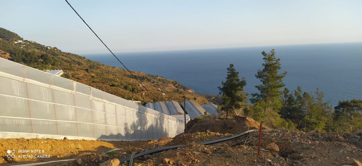 Banana Land  - Alanya