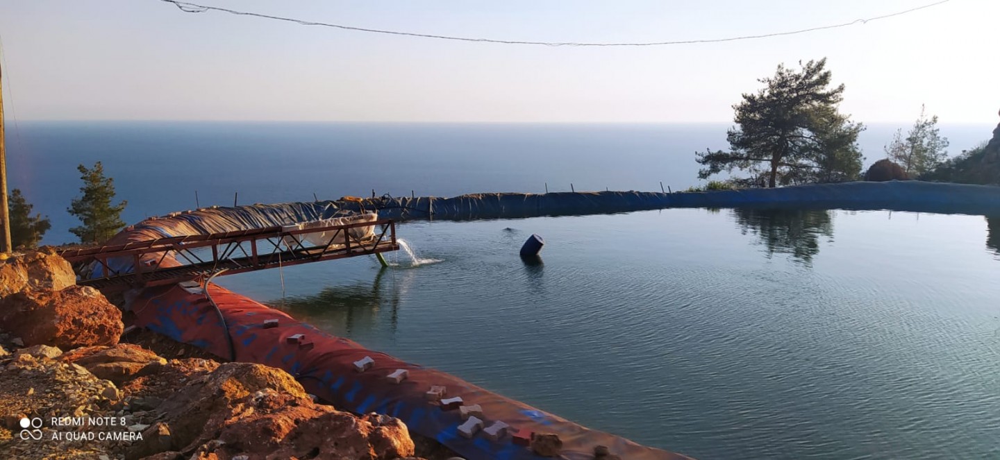 Banana Land  - Alanya