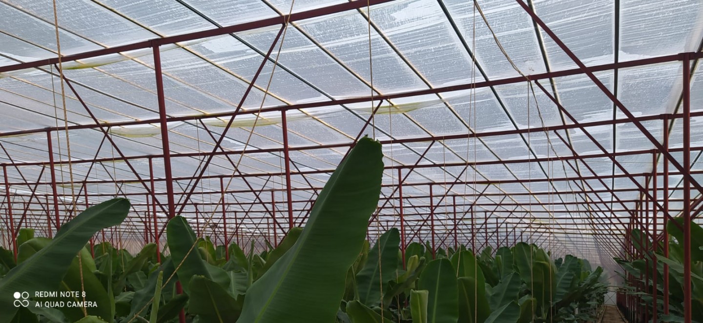 Banana Land  - Alanya